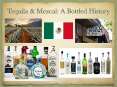 Tequila and Mezcal Spirits: A Bottled History Tequila and Mezcal Spirits: A Bottled History